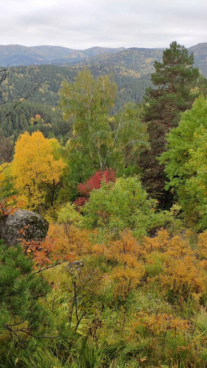Фото Гостиницы Родник Алтая Белокуриха 241