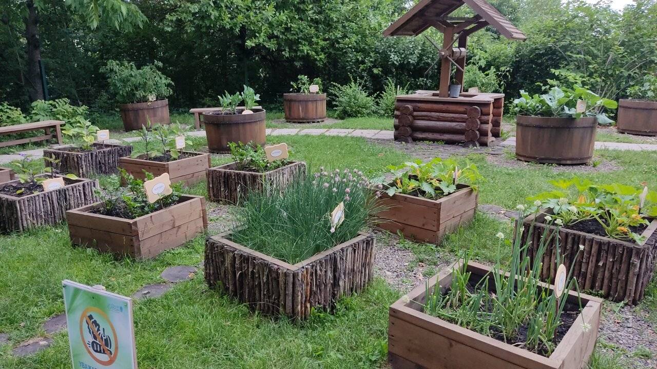 Фото Гостиницы Родник Алтая Белокуриха 172