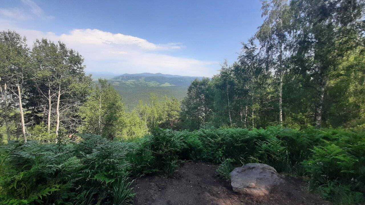Фото Гостиницы Родник Алтая Белокуриха 157