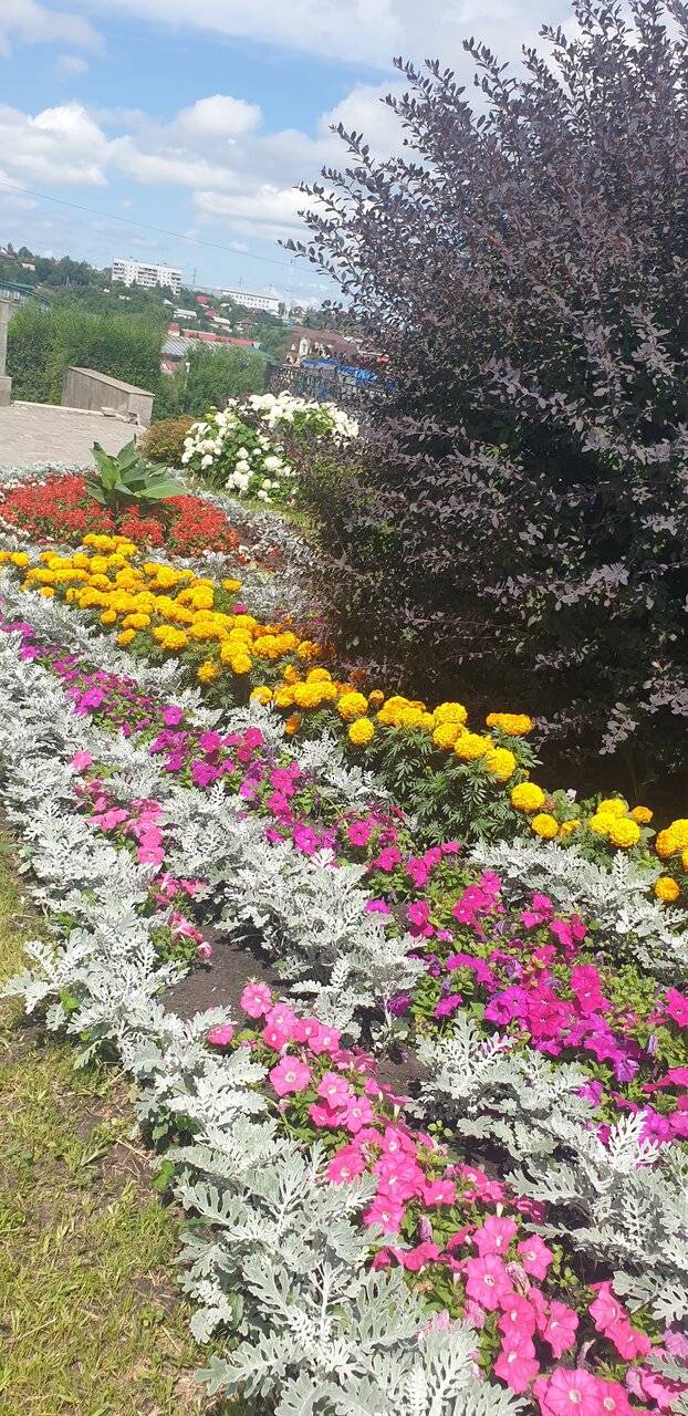 Фото Гостиницы Родник Алтая Белокуриха 173