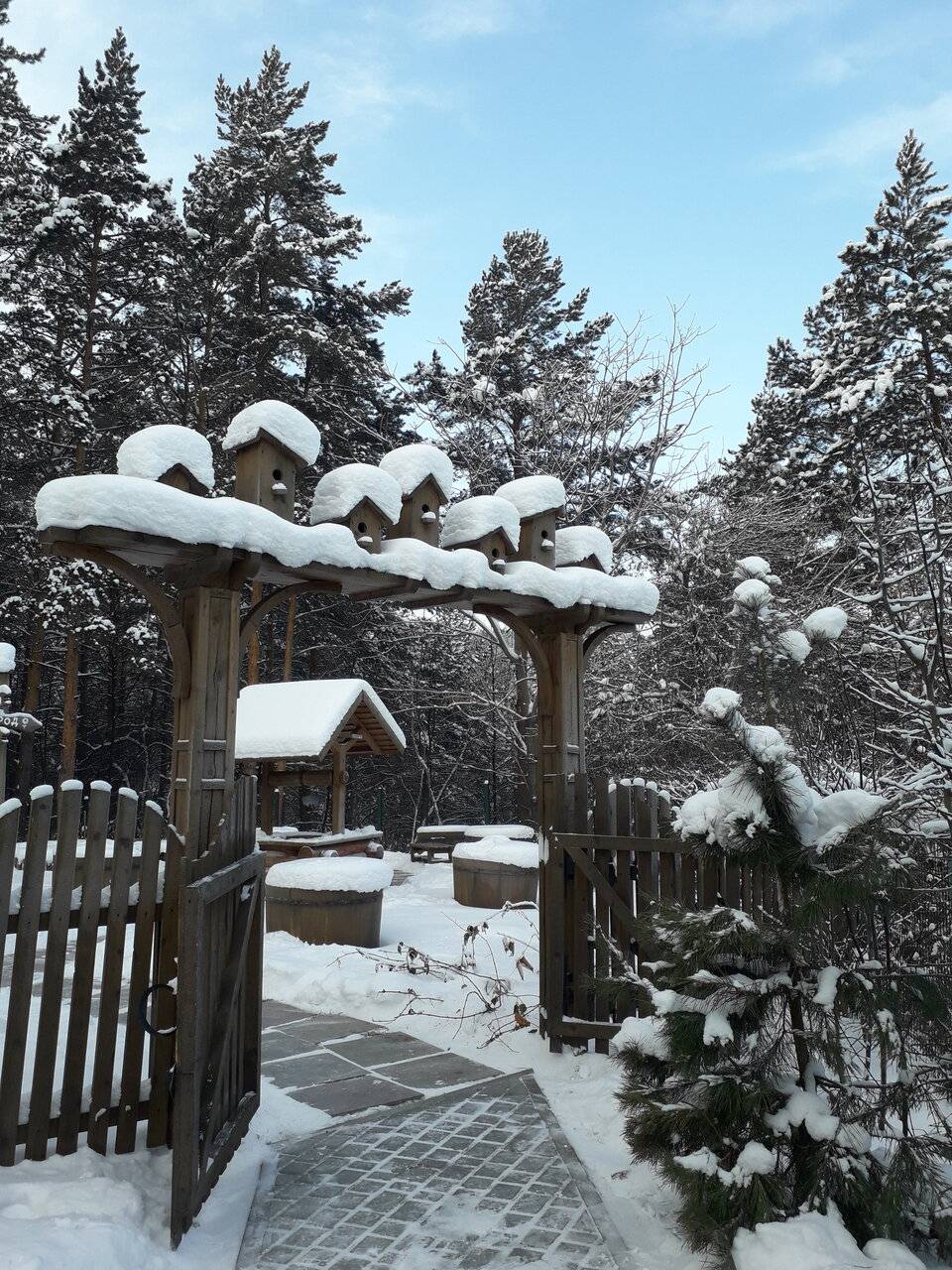 Фото Гостиницы Родник Алтая Белокуриха 208