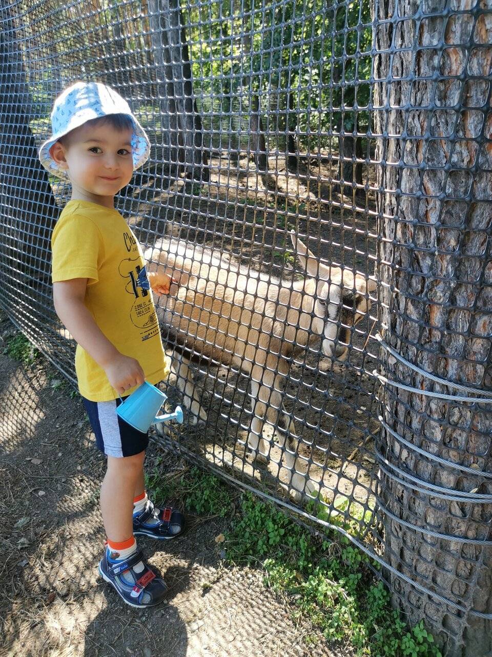 Фото Гостиницы Родник Алтая Белокуриха 132