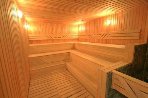 Фото Гостиницы Родник Алтая Белокуриха 142