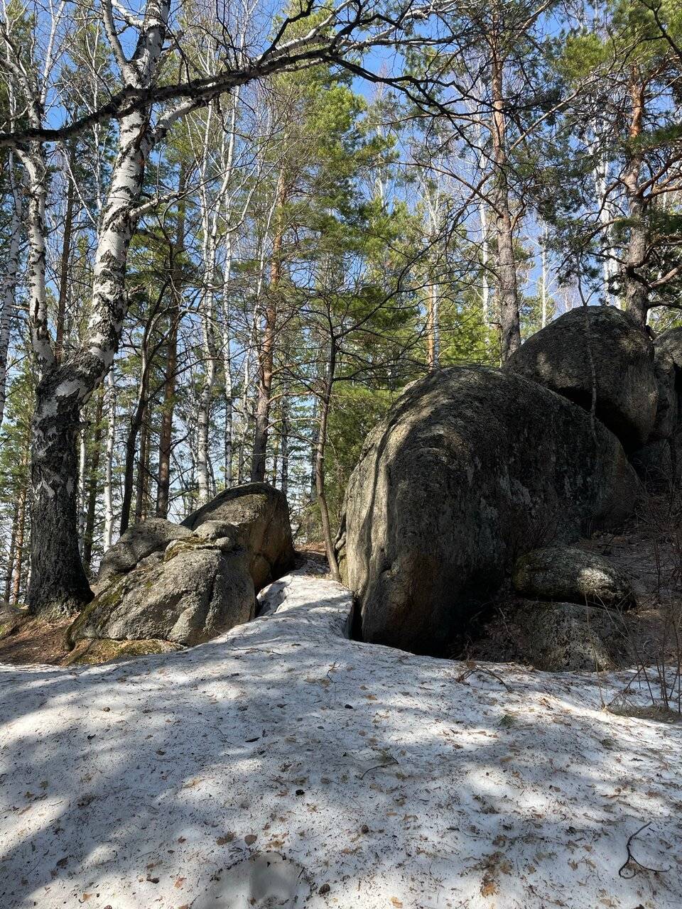 Фото Гостиницы Родник Алтая Белокуриха 165