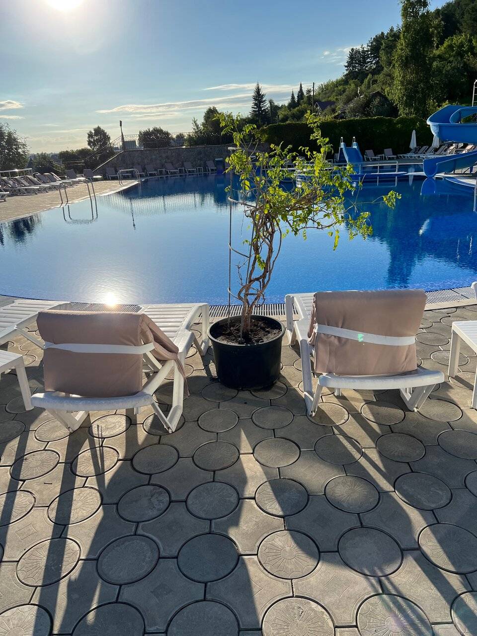 Фото Гостиницы Родник Алтая Белокуриха 158