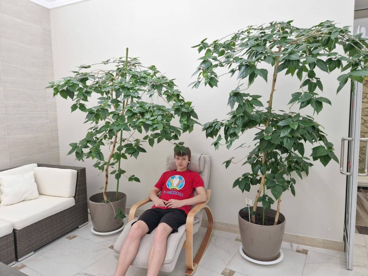 Фото Гостиницы Родник Алтая Белокуриха 212