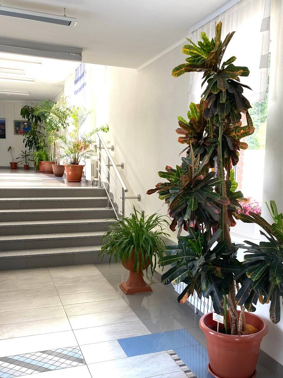 Фото Гостиницы Родник Алтая Белокуриха 189