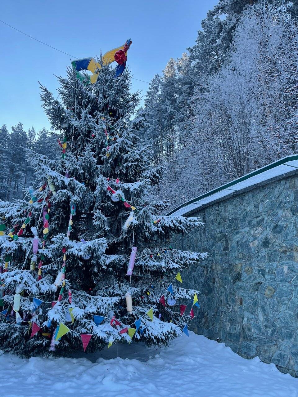 Фото Гостиницы Родник Алтая Белокуриха 88