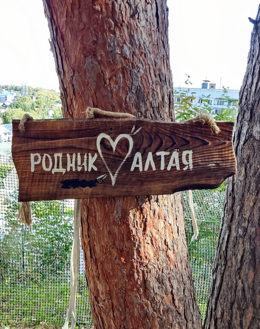 Фото Гостиницы Родник Алтая Белокуриха 183