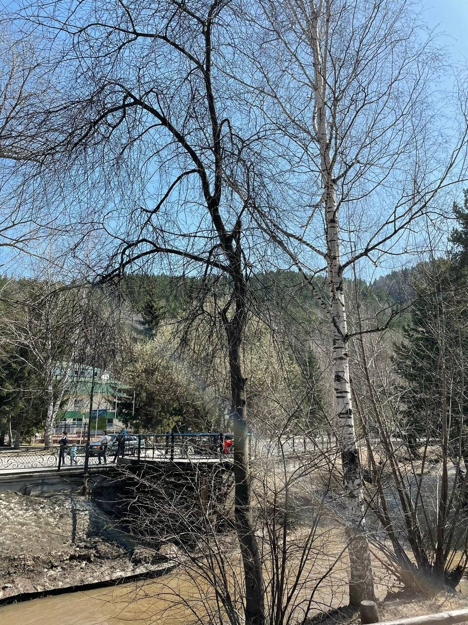 Фото Гостиницы Родник Алтая Белокуриха 169