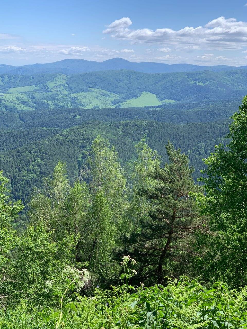 Фото Гостиницы Родник Алтая Белокуриха 126