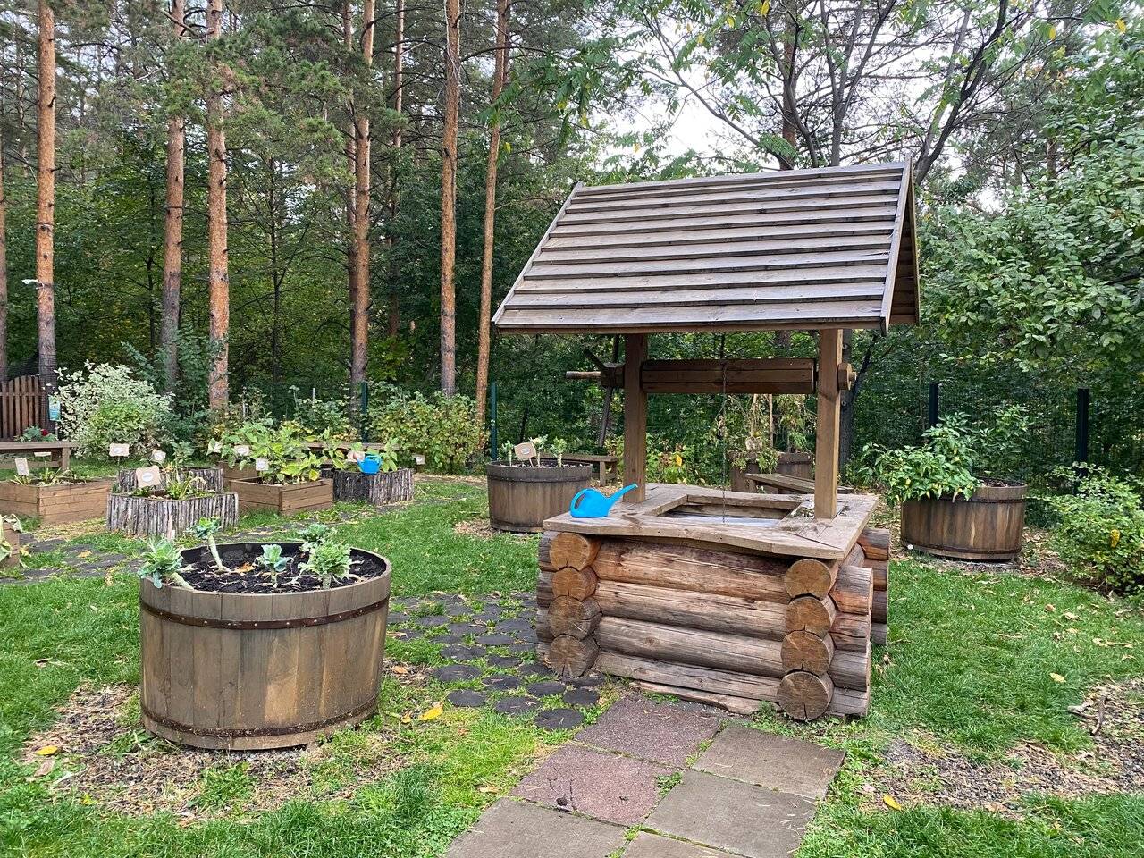 Фото Гостиницы Родник Алтая Белокуриха 185