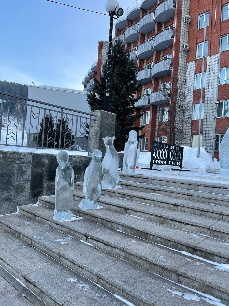 Фото Гостиницы Родник Алтая Белокуриха 123