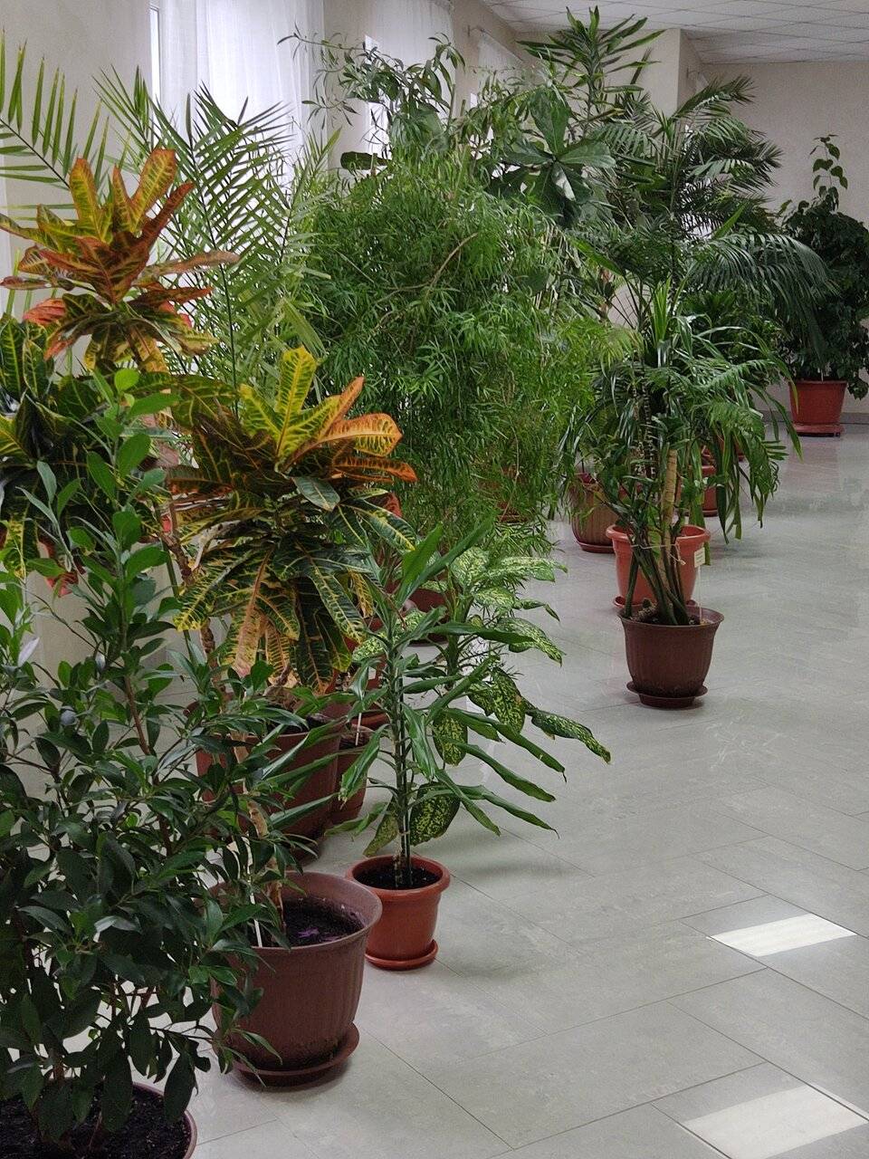 Фото Гостиницы Родник Алтая Белокуриха 196