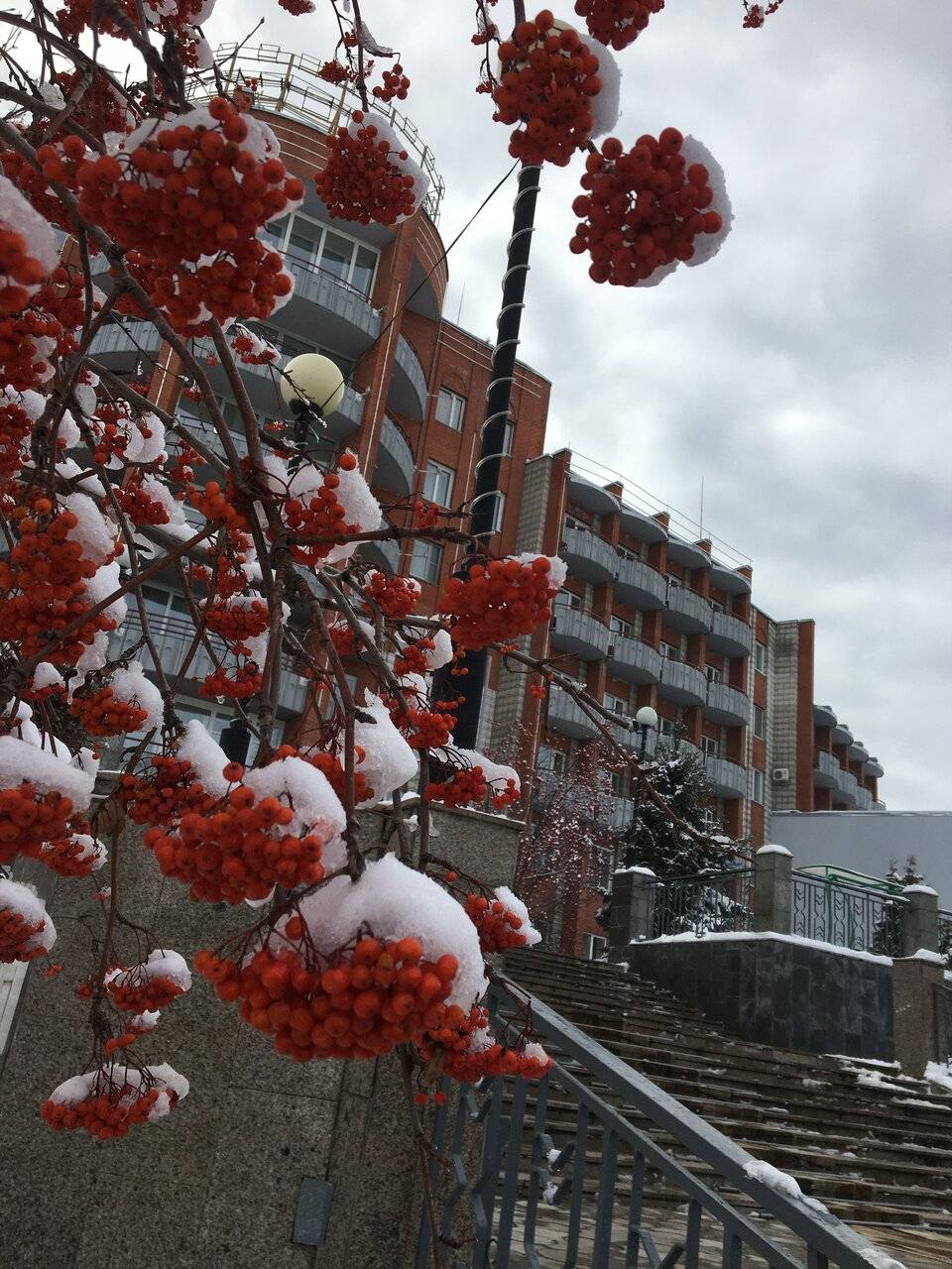 Фото Гостиницы Родник Алтая Белокуриха 203