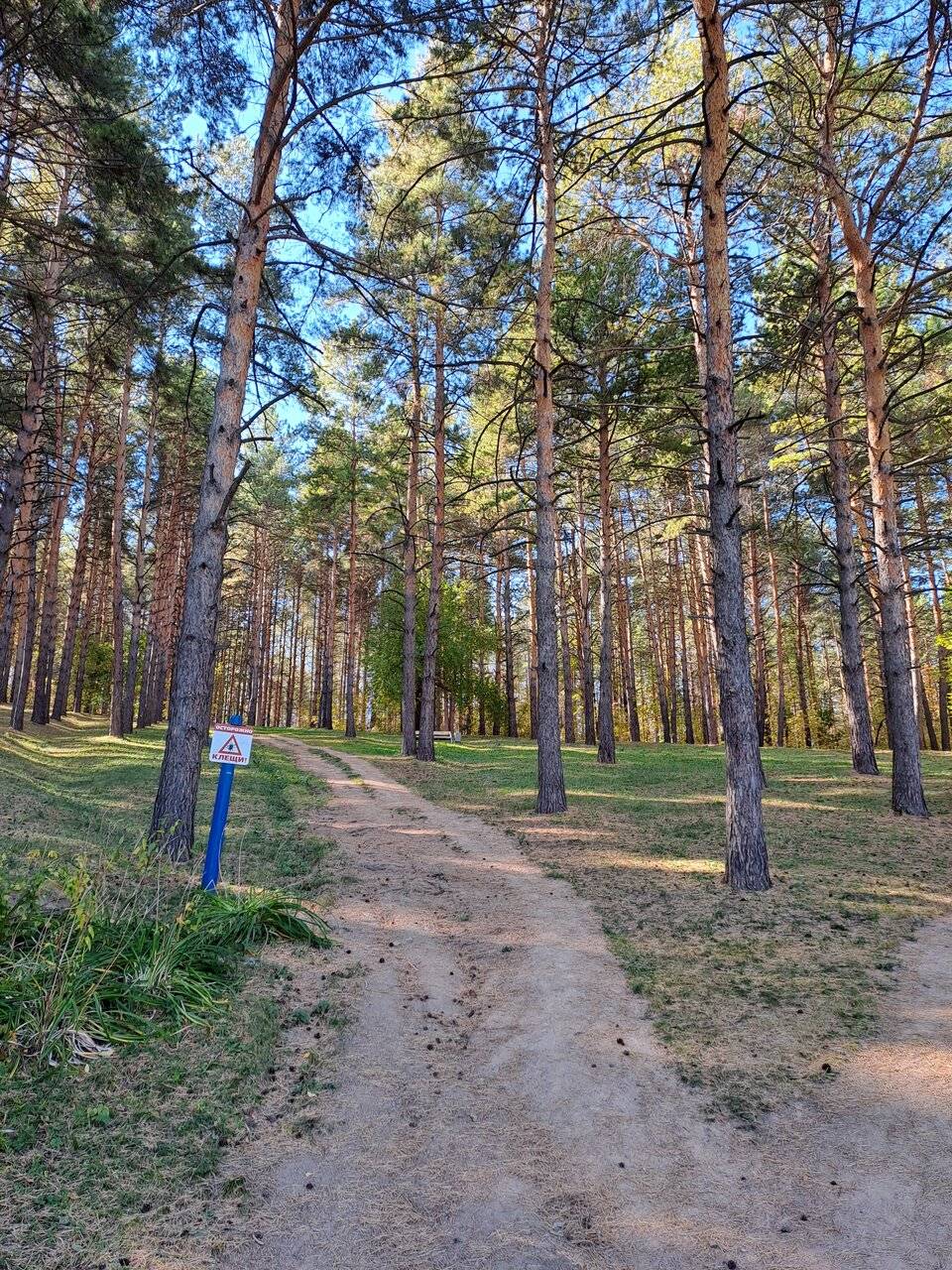 Фото Гостиницы Родник Алтая Белокуриха 188